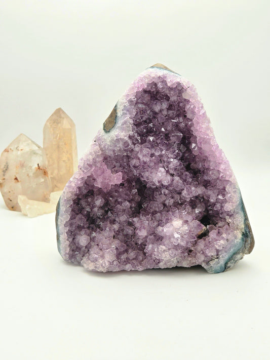 Amethyst Cluster (2.9lb / 6 in)