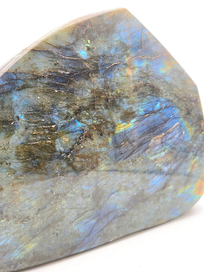 Labradorite (5lb / 7 inch)